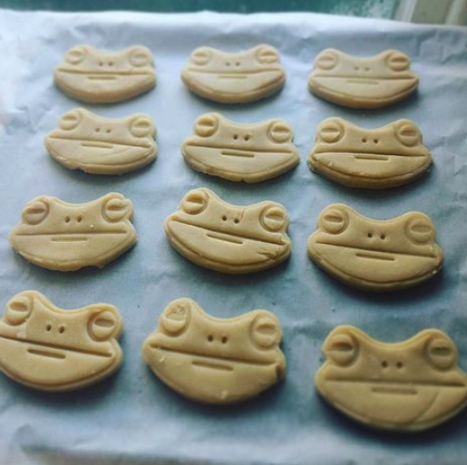 Frog Head Cookie Cutter Cookie Cutters Canada